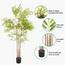 Bamboo Plant in Pot - 160 cm-InfluencerCodes_Ramadan26_All_20012026-image-6