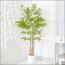 Bamboo Plant in Pot - 160 cm-InfluencerCodes_Ramadan26_All_20012026-image-9