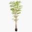 Bamboo Plant in Pot - 220 cm-InfluencerCodes_Ramadan26_All_20012026-image-1