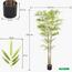 Bamboo Plant in Pot - 220 cm-InfluencerCodes_Ramadan26_All_20012026-image-2