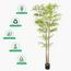 Bamboo Plant in Pot - 220 cm-InfluencerCodes_Ramadan26_All_20012026-image-4