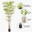Bamboo Plant in Pot - 220 cm-InfluencerCodes_Ramadan26_All_20012026-image-5