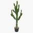 نبات صبار في إناء - 96 سم-InfluencerCodes_Ramadan26_All_20012026-image-6