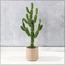 نبات صبار في إناء - 96 سم-InfluencerCodes_Ramadan26_All_20012026-image-2