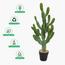 Cactus Plant in Pot - 77 cm-InfluencerCodes_Ramadan26_All_20012026-image-3