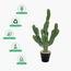 نبات صبار في إناء - 60 سم-InfluencerCodes_Ramadan26_All_20012026-image-3