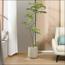 شجرة ميموزا - 200 سم-InfluencerCodes_Ramadan26_All_20012026-image-1
