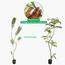 شجرة ميموزا - 200 سم-InfluencerCodes_Ramadan26_All_20012026-image-7