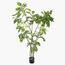 Wisteria Tree - 190 cm-InfluencerCodes_Ramadan26_All_20012026-image-1