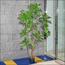 Wisteria Tree - 190 cm-InfluencerCodes_Ramadan26_All_20012026-image-10