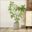 Wisteria Tree - 190 cm-InfluencerCodes_Ramadan26_All_20012026-image-3