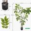 Wisteria Tree - 190 cm-InfluencerCodes_Ramadan26_All_20012026-image-4