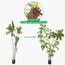 Wisteria Tree - 190 cm-InfluencerCodes_Ramadan26_All_20012026-image-5