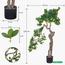 شجرة بونساي - 120 سم-household-gardenandoutdoor-artificialplants-bonsai-image-7