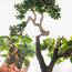 شجرة بونساي - 120 سم-household-gardenandoutdoor-artificialplants-bonsai-image-6