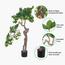 شجرة بونساي - 120 سم-household-gardenandoutdoor-artificialplants-bonsai-image-4