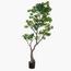 شجرة بونساي - 170 سم-household-gardenandoutdoor-artificialplants-bonsai-image-8