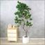 شجرة بونساي - 170 سم-household-gardenandoutdoor-artificialplants-bonsai-image-3