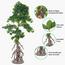 شجرة بونساي - 170 سم-household-gardenandoutdoor-artificialplants-bonsai-image-5