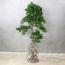 شجرة بونساي - 170 سم-household-gardenandoutdoor-artificialplants-bonsai-image-2