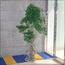 شجرة بونساي - 170 سم-household-gardenandoutdoor-artificialplants-bonsai-image-1