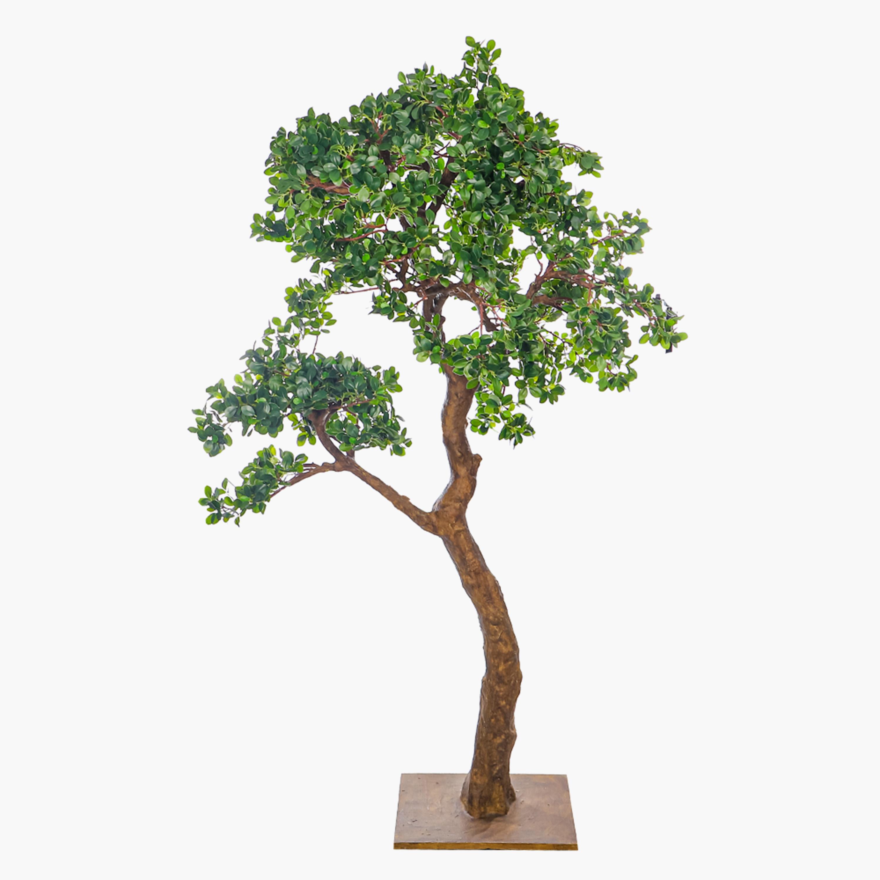 Bonsai Tree - 180 cm