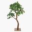 شجرة بونساي - 180 سم-household-gardenandoutdoor-artificialplants-bonsai-image-10
