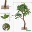 شجرة بونساي - 180 سم-household-gardenandoutdoor-artificialplants-bonsai-image-8