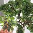 شجرة بونساي - 180 سم-household-gardenandoutdoor-artificialplants-bonsai-image-7