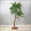 شجرة بونساي - 180 سم-household-gardenandoutdoor-artificialplants-bonsai-image-2