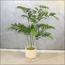 شجرة النخيل - 140 سم-InfluencerCodes_Ramadan26_All_20012026-image-3