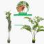 شجرة النخيل - 140 سم-InfluencerCodes_Ramadan26_All_20012026-image-7