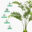شجرة النخيل - 140 سم-InfluencerCodes_Ramadan26_All_20012026-image-6