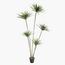 شجرة الدراسينا - 210 سم-InfluencerCodes_Ramadan26_All_20012026-image-11