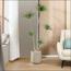 شجرة الدراسينا - 210 سم-InfluencerCodes_Ramadan26_All_20012026-image-1