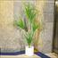 نبتة عشبية في إناء - 170 سم-InfluencerCodes_Ramadan26_All_20012026-image-4