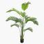 Areca Palm Tree - 180 cm-InfluencerCodes_Ramadan26_All_20012026-image-1