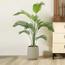 Areca Palm Tree - 180 cm-InfluencerCodes_Ramadan26_All_20012026-image-3