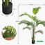 Areca Palm Tree - 180 cm-InfluencerCodes_Ramadan26_All_20012026-image-4