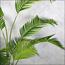 Areca Palm Tree - 180 cm-InfluencerCodes_Ramadan26_All_20012026-image-8