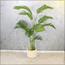 Areca Palm Tree - 180 cm-InfluencerCodes_Ramadan26_All_20012026-image-9