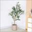 شجرة زيتون - 110 سم-InfluencerCodes_Ramadan26_All_20012026-image-3