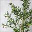 شجرة زيتون - 110 سم-InfluencerCodes_Ramadan26_All_20012026-image-2