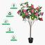 Camellia Flowering Tree - 140 cm-InfluencerCodes_Ramadan26_All_20012026-image-3