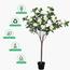 شجرة كاميليا مزهرة - 140 سم-InfluencerCodes_Ramadan26_All_20012026-image-5
