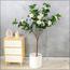 شجرة كاميليا مزهرة - 140 سم-InfluencerCodes_Ramadan26_All_20012026-image-3
