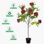 نبتة ورد في إناء - 130 سم-InfluencerCodes_Ramadan26_All_20012026-image-5