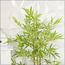 شجرة خيزران - 130 سم-InfluencerCodes_Ramadan26_All_20012026-image-2