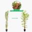 شجرة خيزران - 180 سم-InfluencerCodes_Ramadan26_All_20012026-image-6