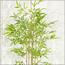 شجرة خيزران - 180 سم-InfluencerCodes_Ramadan26_All_20012026-image-2